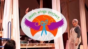 Death Wings Project