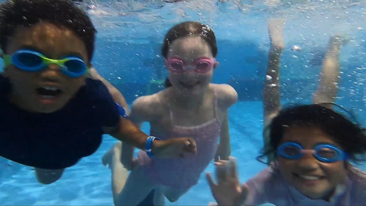 Swimming Lessons - The Little Swim School