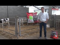 La recría, con Nanta