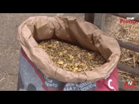 Las claves del nuevo pienso Novalac Prima Fiber [I]