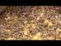 Las claves del nuevo pienso Novalac Prima Fiber [II]