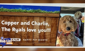 You Can Have A Billboard of Your Pet for FREE