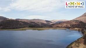 Vimeo thumbnail