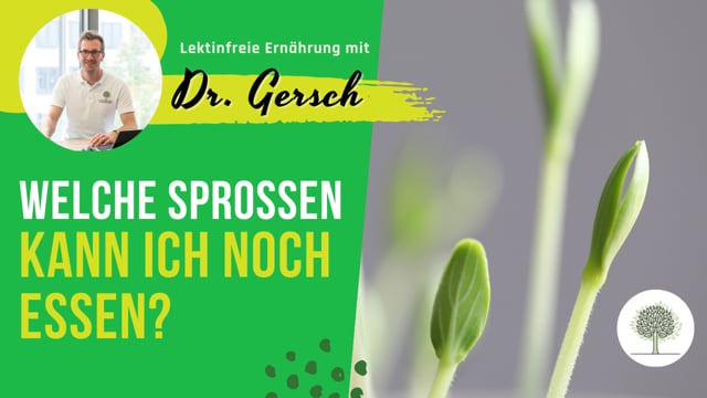 Welche Sprossen außer Brokkoli-Sprossen kann ich essen?