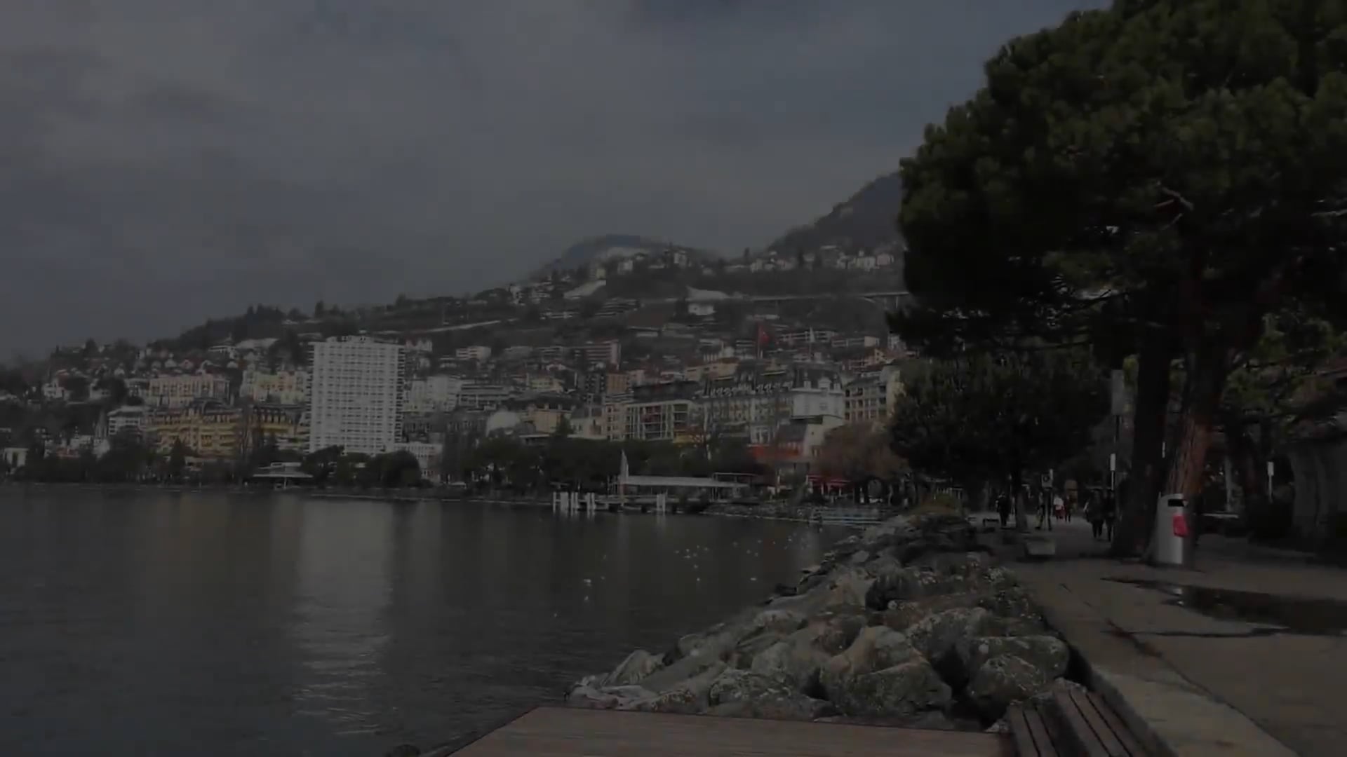 https://i.vimeocdn.com/video/1670005829-a5d1403aa3fafb58f22c8954bd00a5e58afe26b29865c580f5aec78929bceef8-d