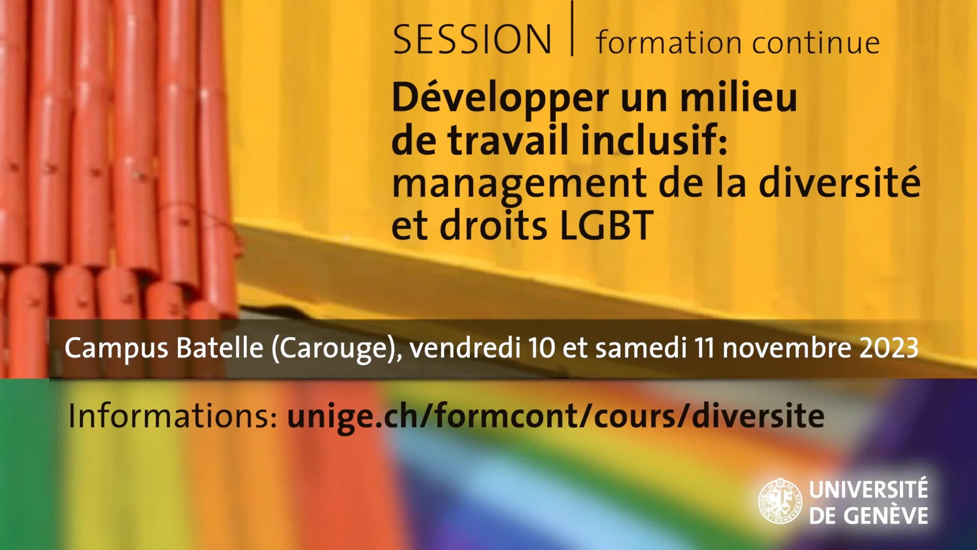 Développer un milieu de travail inclusif: management de la diversité et  droits LGBT (Session 10-11 novembre 2023) on Vimeo