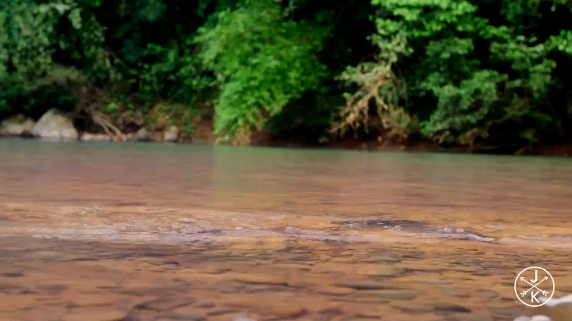 Test Stream on Vimeo