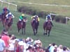 Iroquois23-Race 5-CalvinHoughlandIroquois