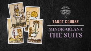 Minor Arcana The Suits