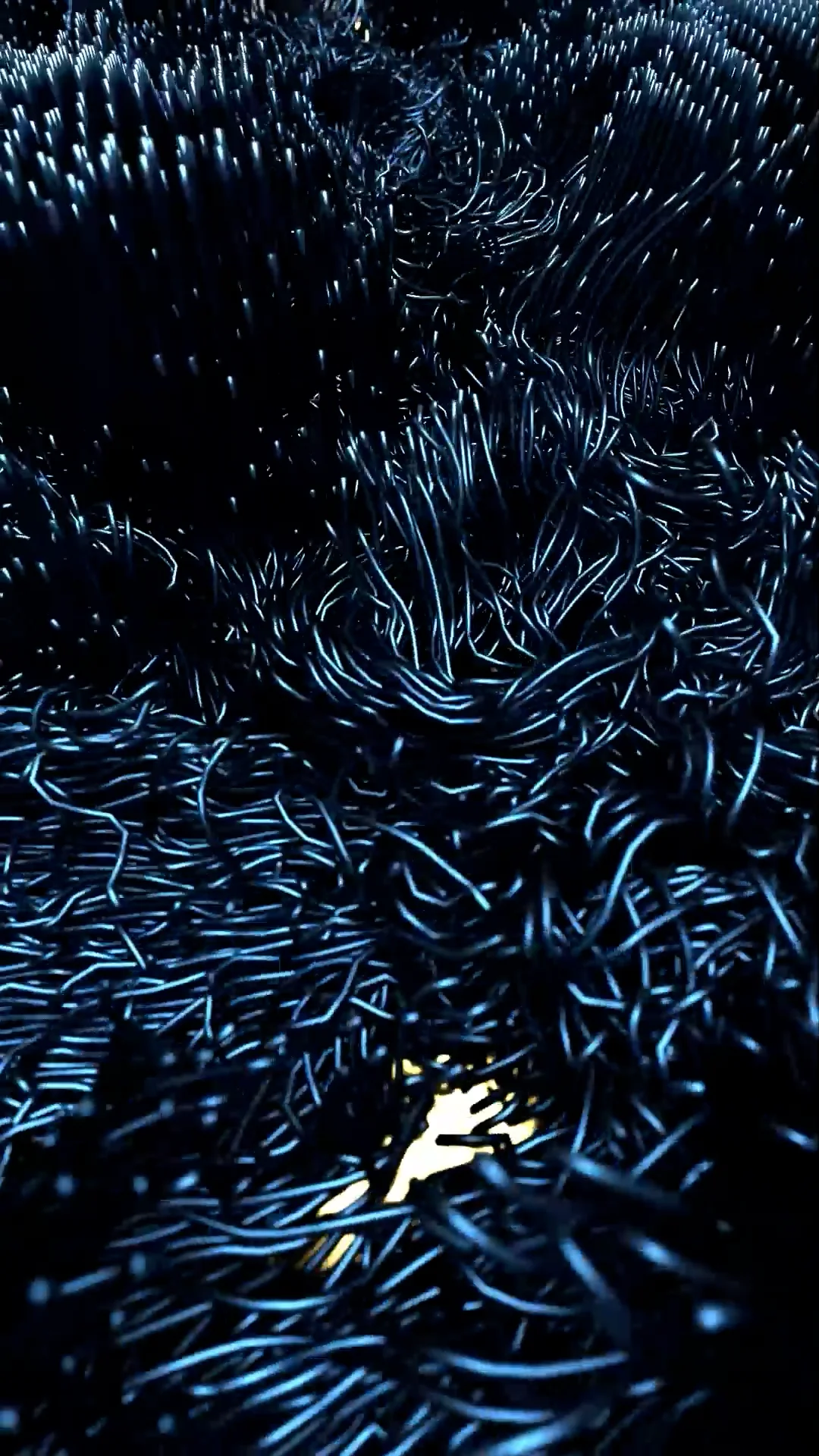 Lines on Vimeo