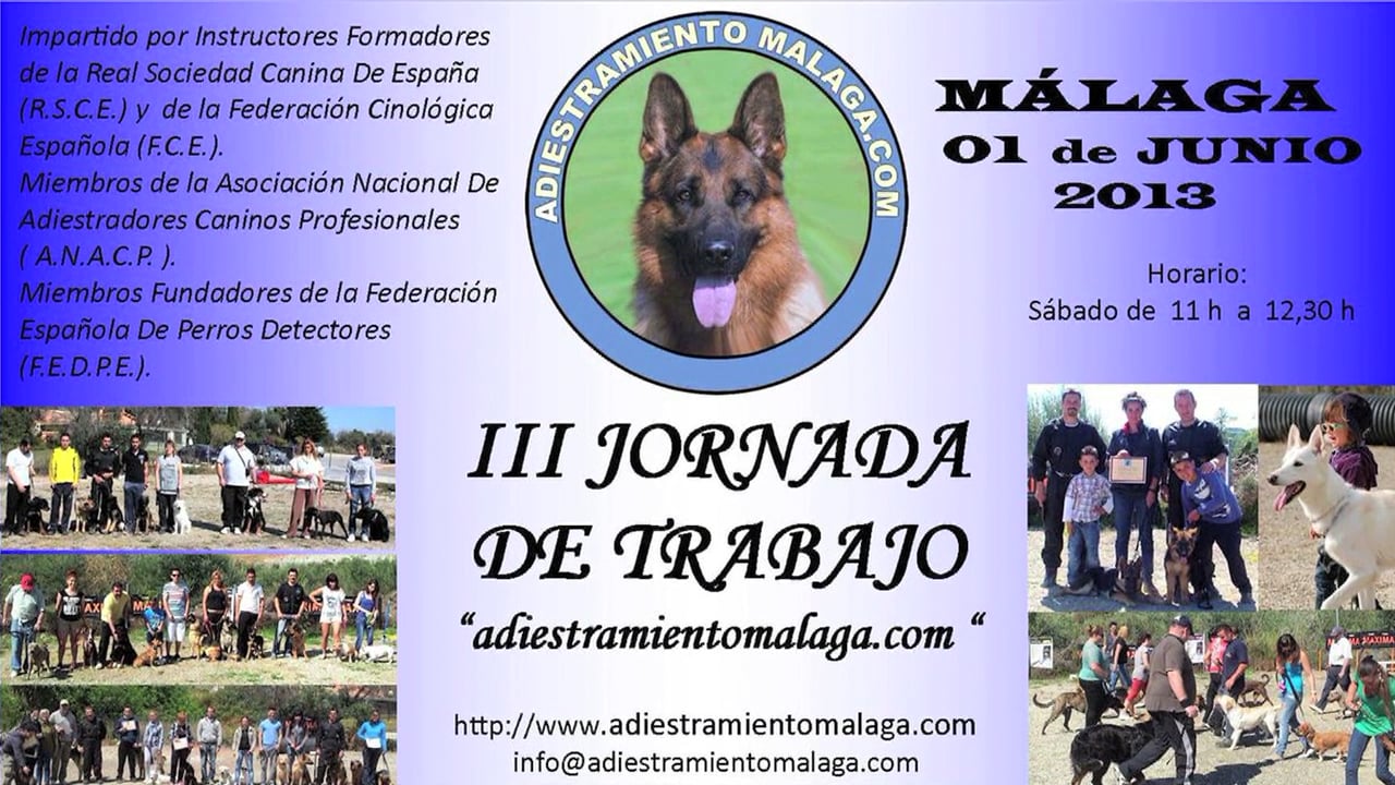 adiestramiento canino málaga