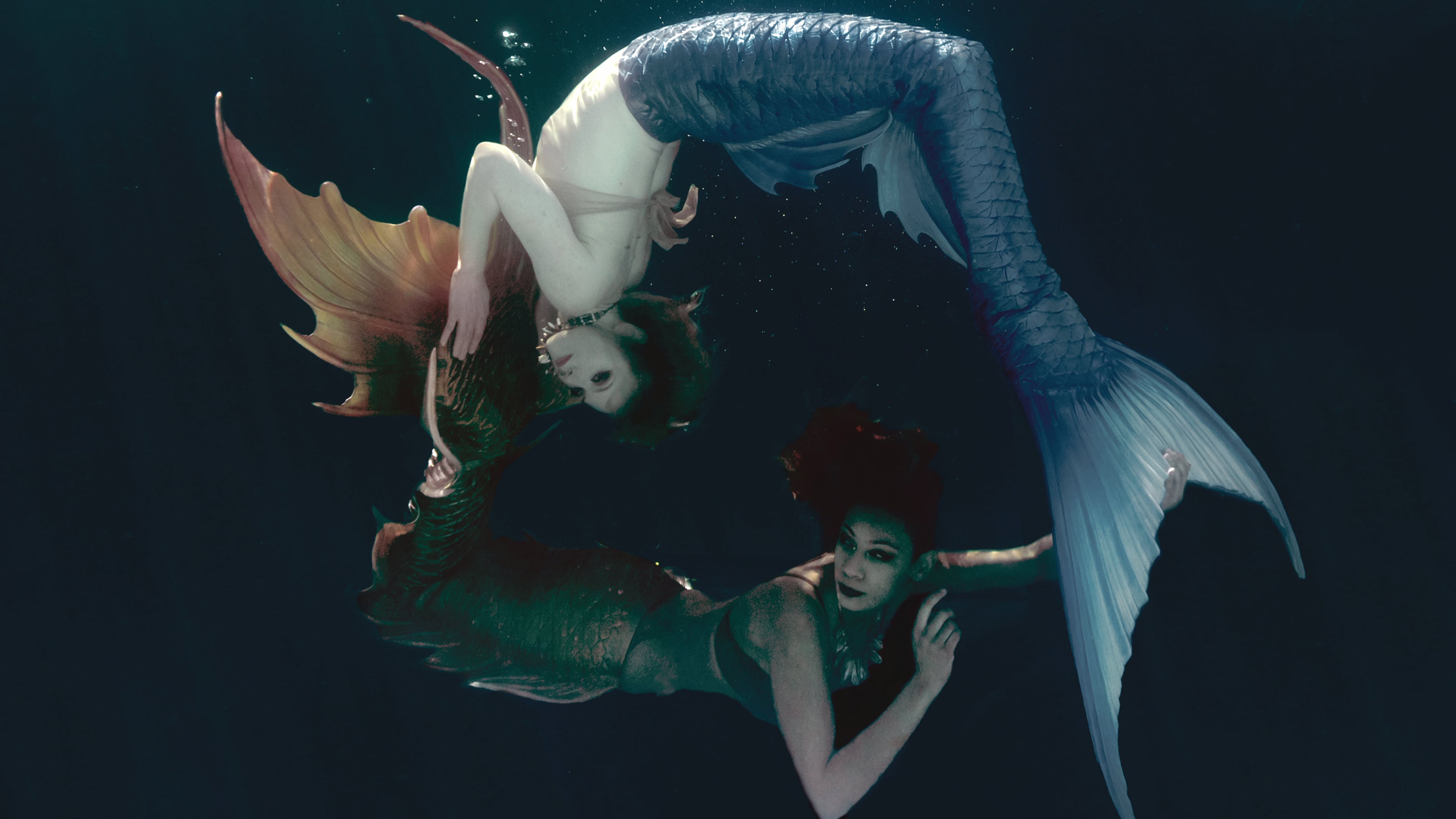 Merfolk - Trailer - Netflix on Vimeo