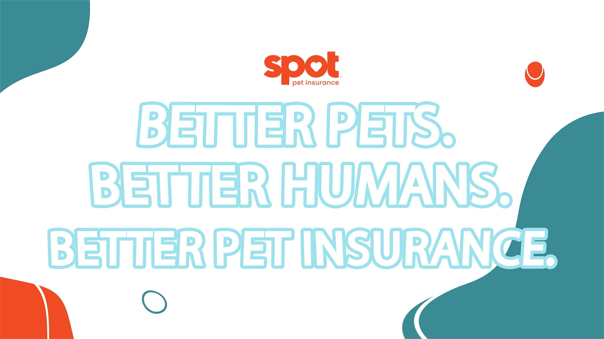 Spot Pet Insurrance