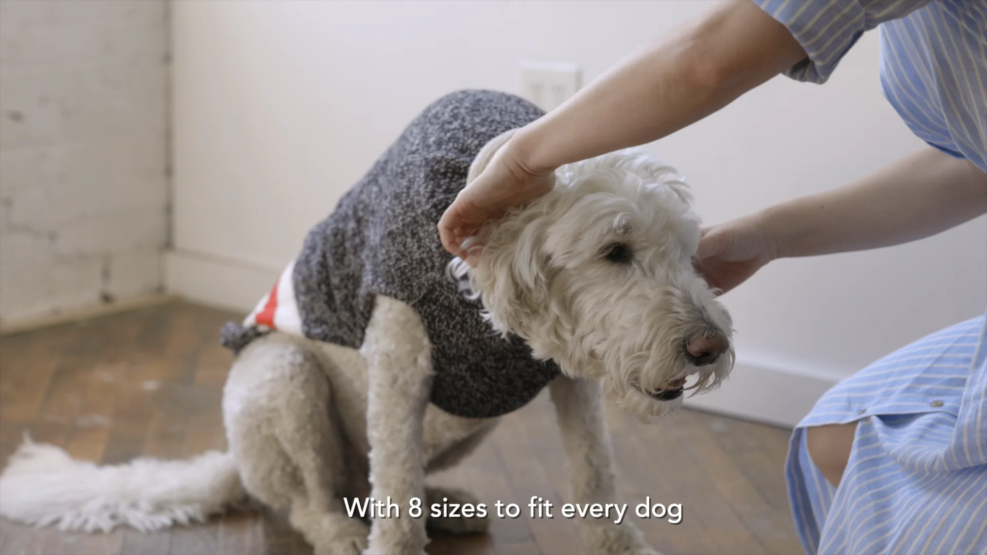 Chilly Dog Sweaters - Hand-Knit Pet Products
