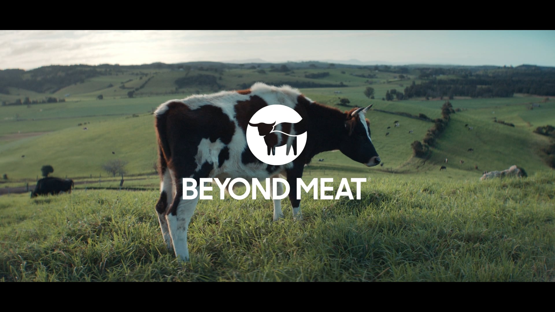 BEYOND MEAT