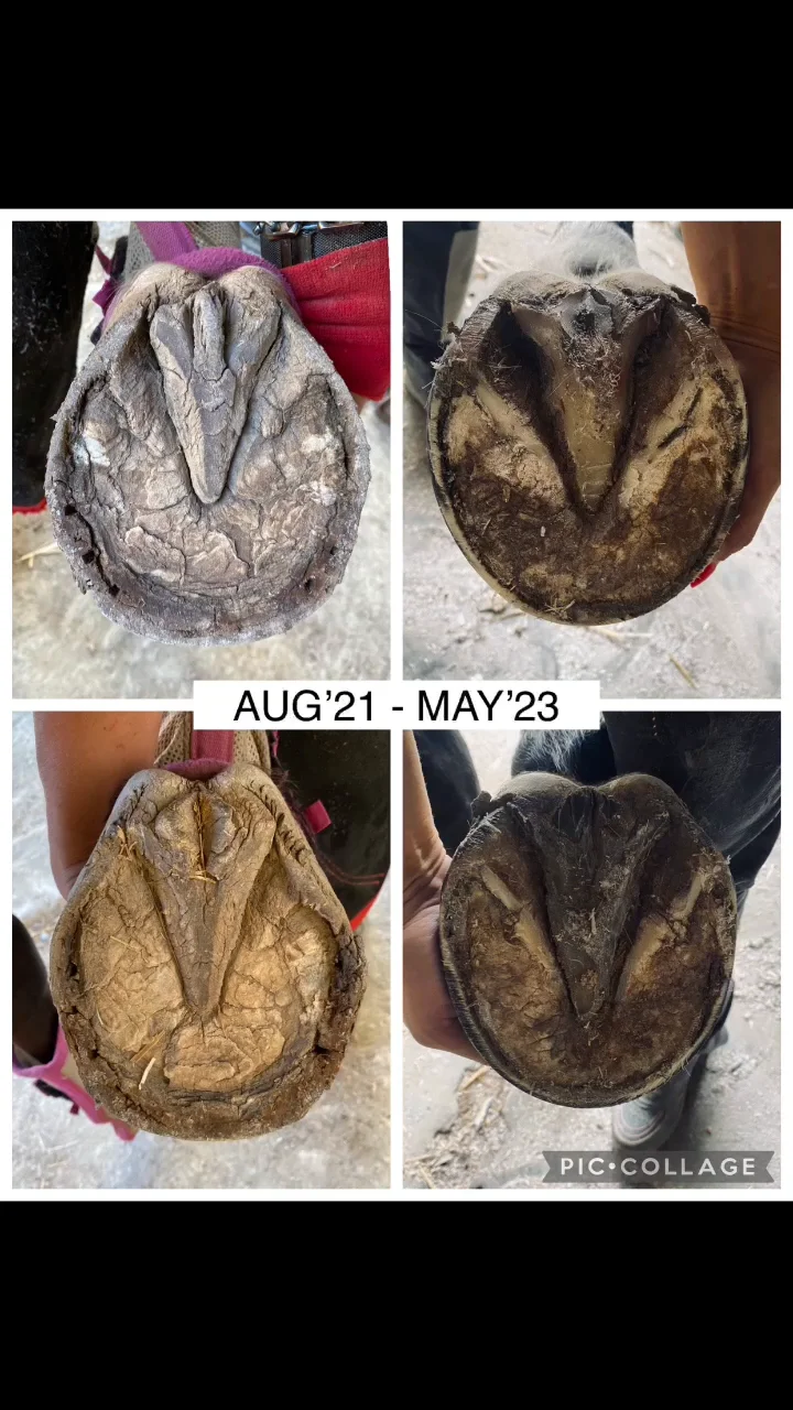 Topiqlarni yalang, oyoqlarini oping