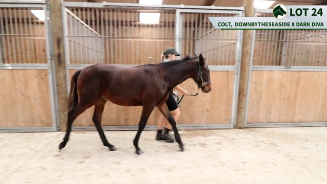 Lot 24