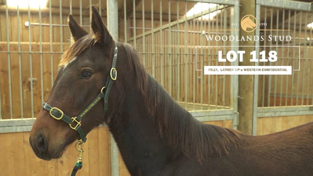 Lot 118