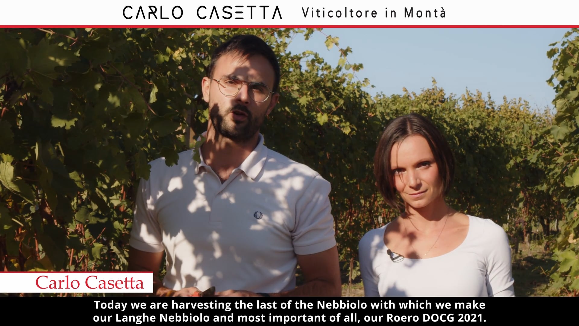 La vendemmia | The harvest