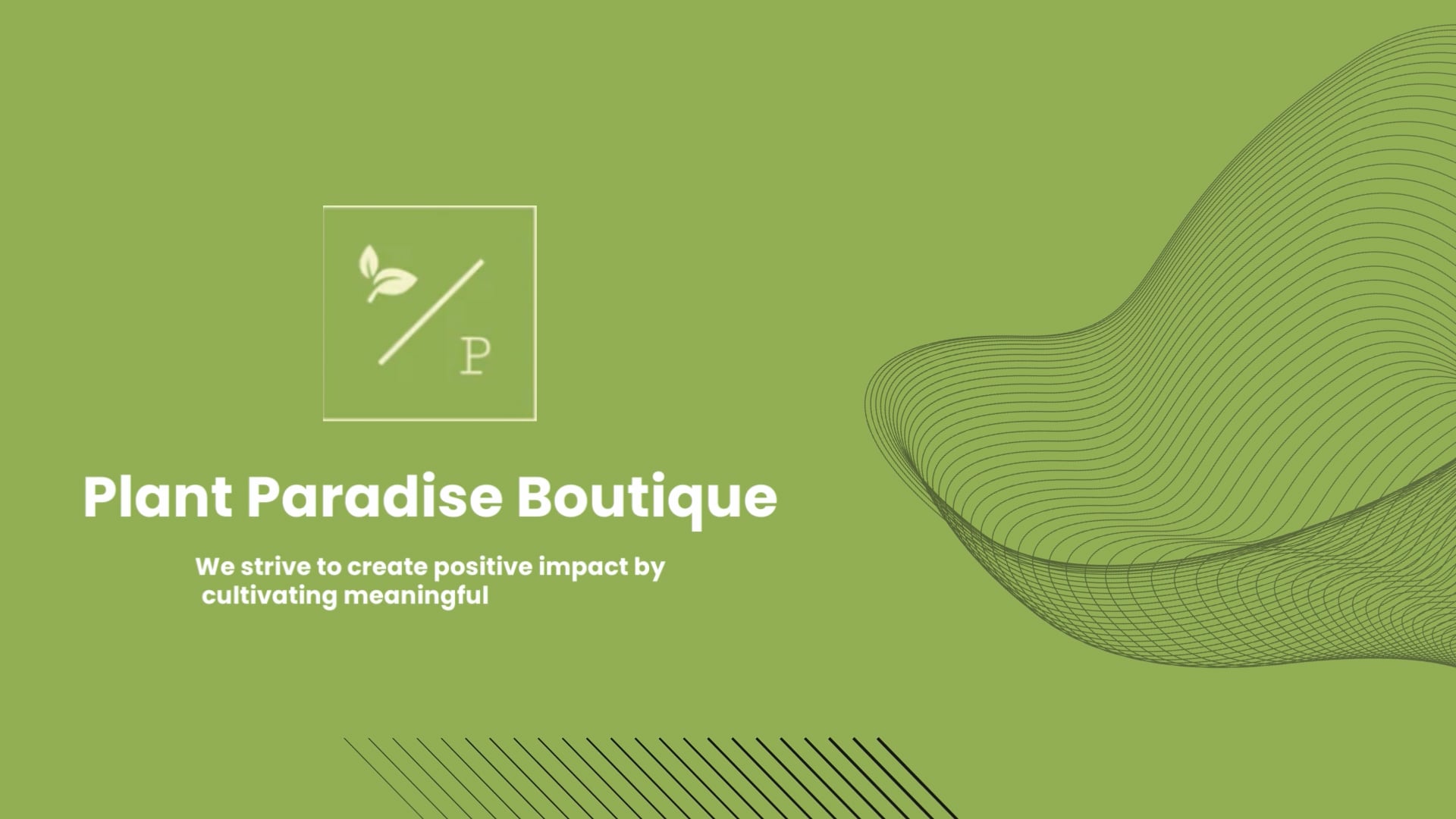 Plant Pots in the US Plant Paradise Boutique on Vimeo