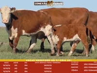 Lote 92