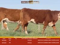 Lote 89