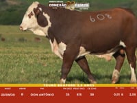 Lote 129