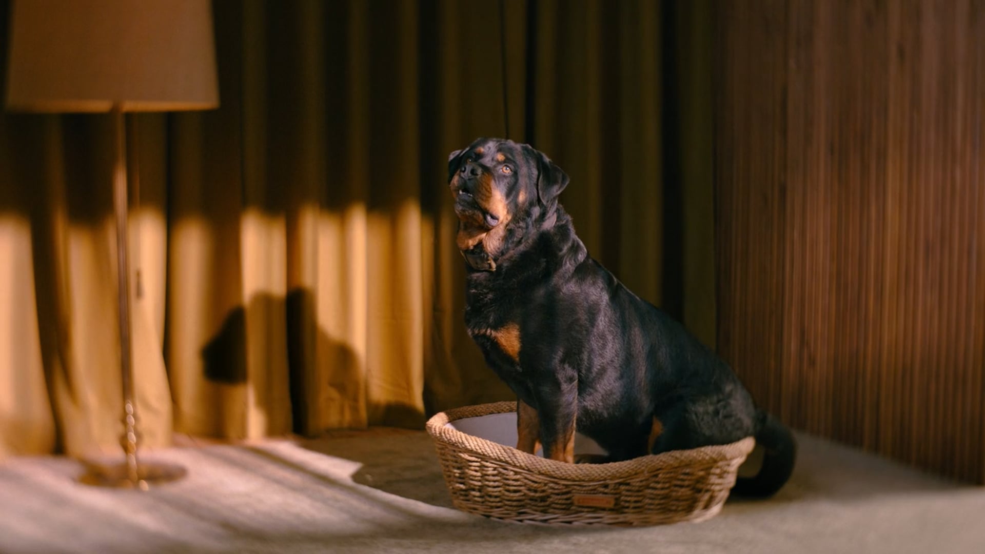 YouSee - Past 8 Years Campaign