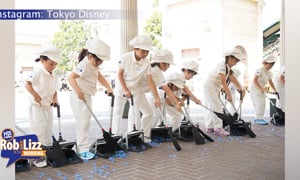 Disney Custodians Kids