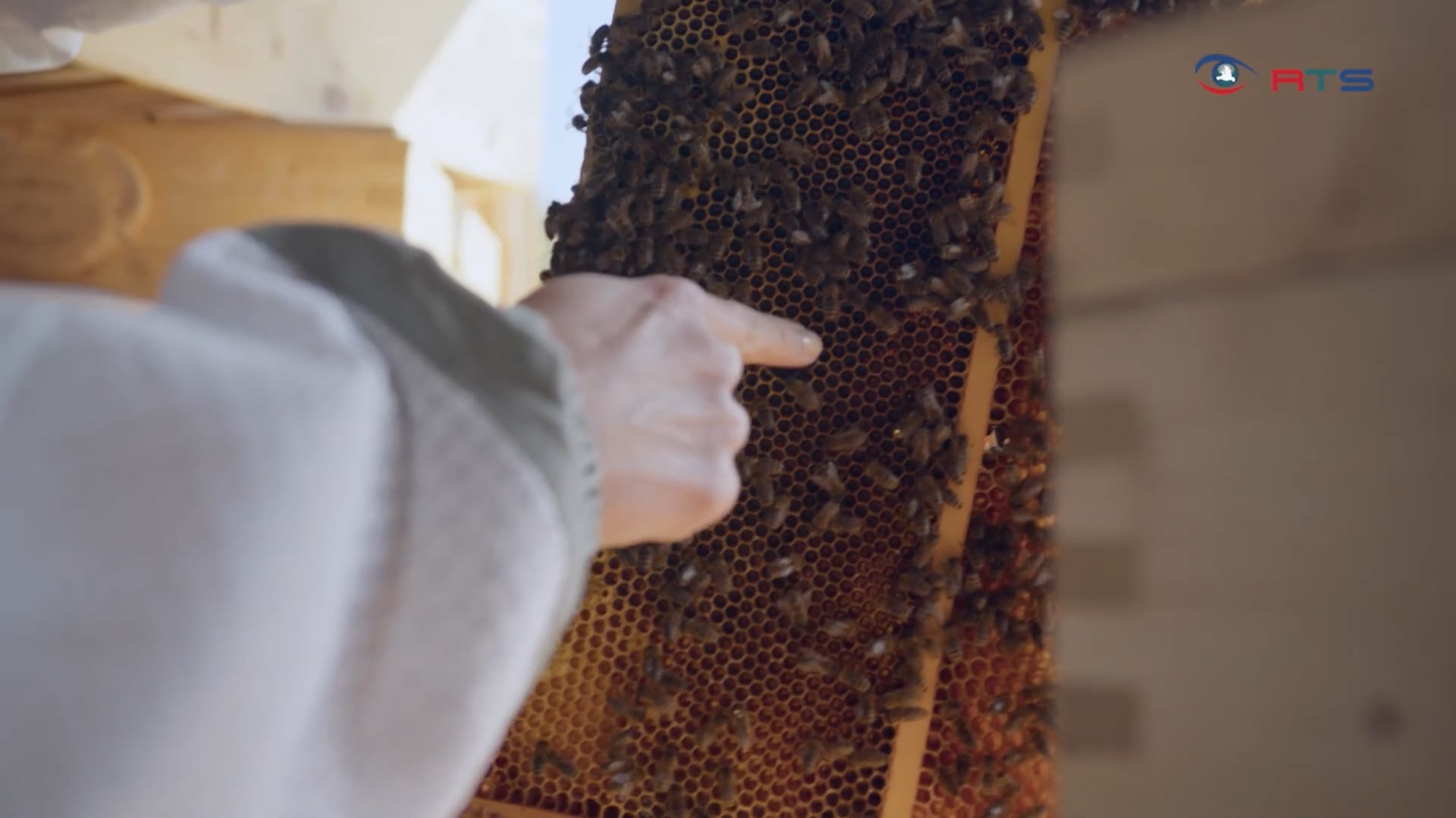 koennen-bienen-sprechen-zu-besuch-in-der-schlossimkerei-fuschl