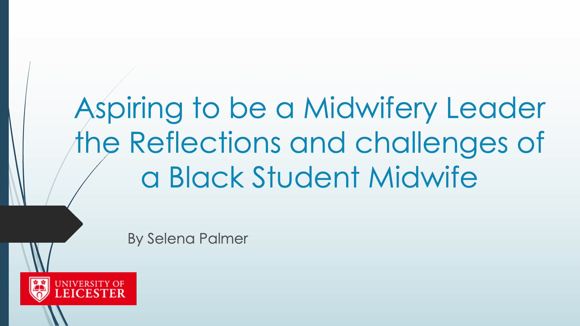 Aspiring To Be A Midwifery Leader – The Reflections (and Challenges) Of ...