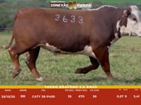 Lote 139