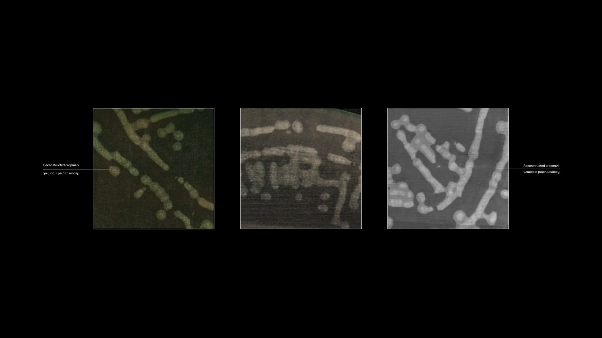 Play Video: The Nebelivka Hypothesis