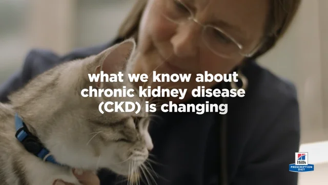 Science diet hotsell for kidney disease