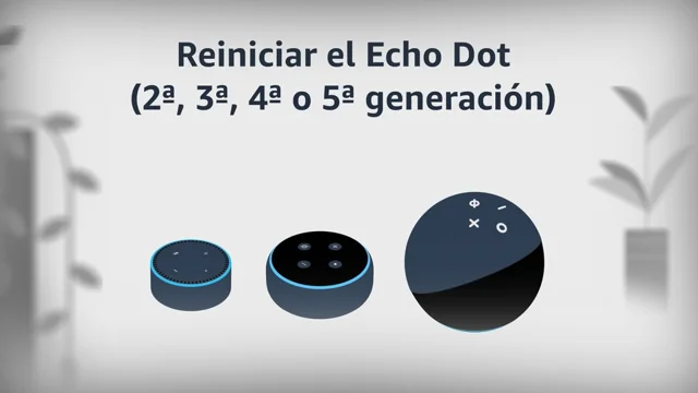 Configuracion best sale echo dot