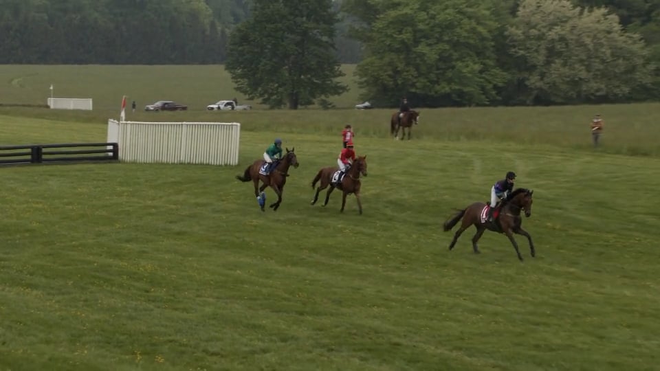 2023 Willowdale Steeplechase Willowdale 05 13 23 Race 6 on Vimeo