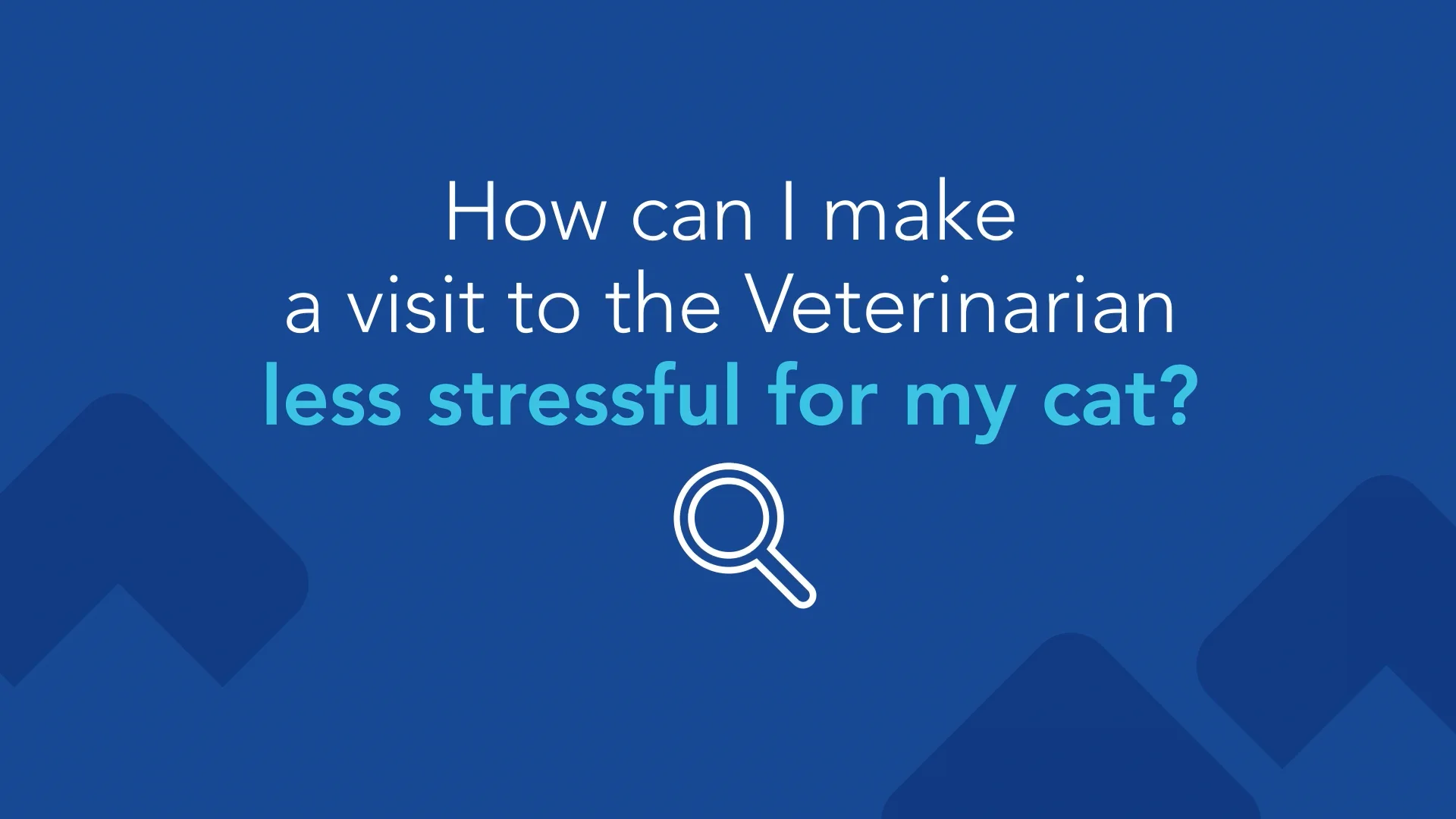 askvca-how-can-i-make-a-visit-to-the-veterinarian-less-stressful-for