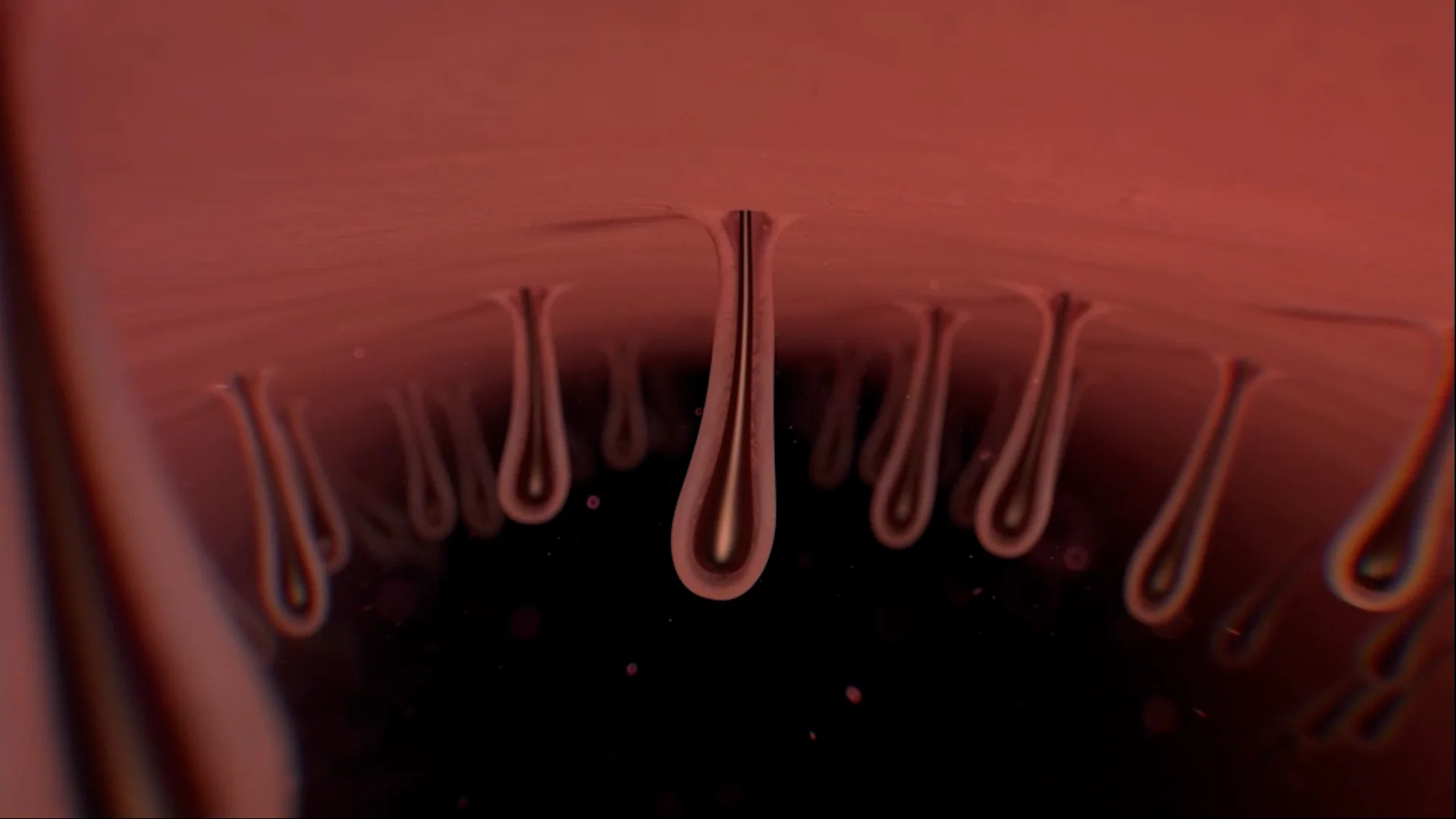 bare_fit_01 on Vimeo
