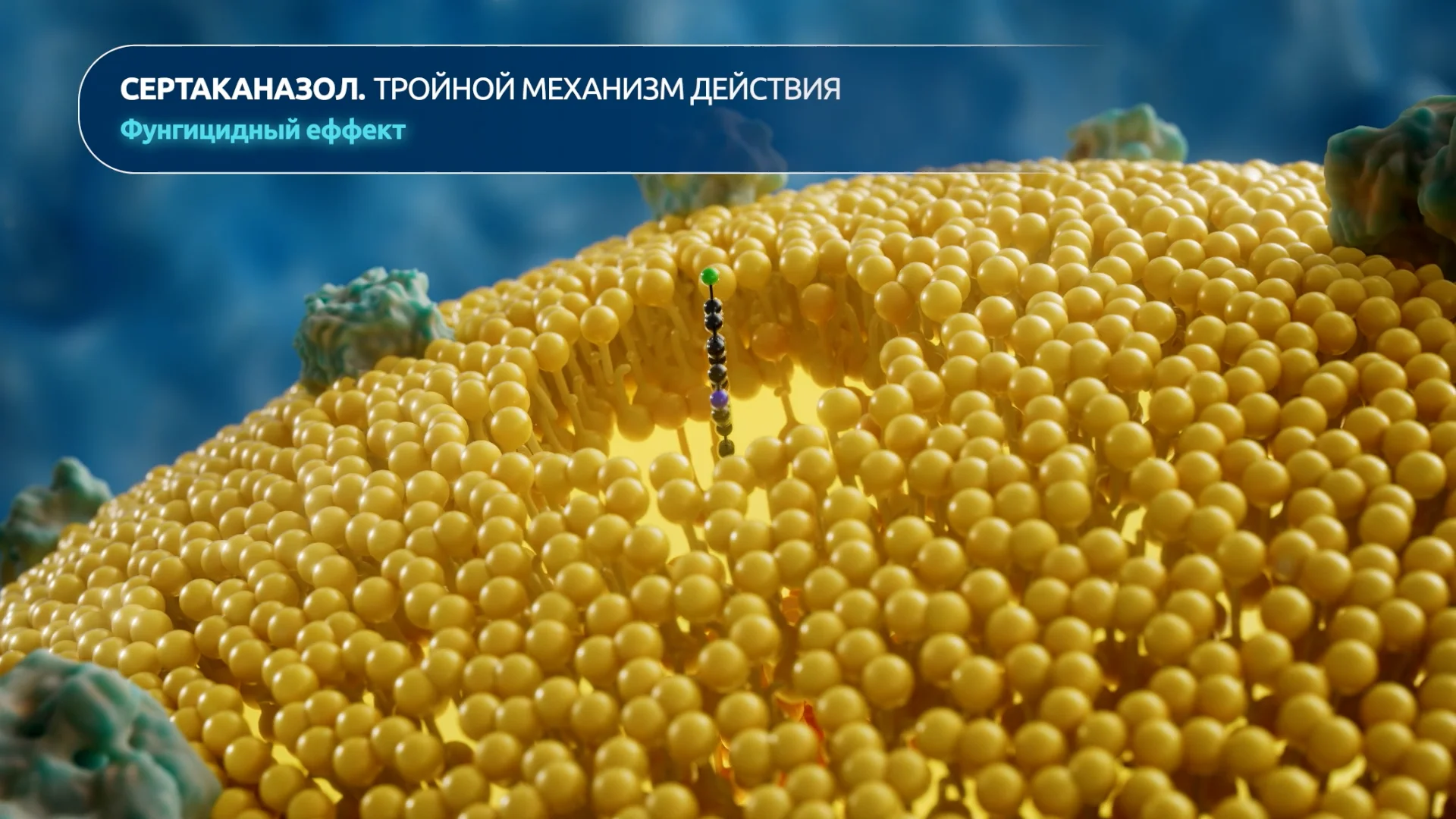 Medical Visualization on Vimeo