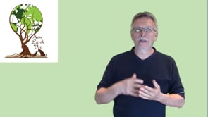 What Three Things are Wrong with Dry Food for Dogs?