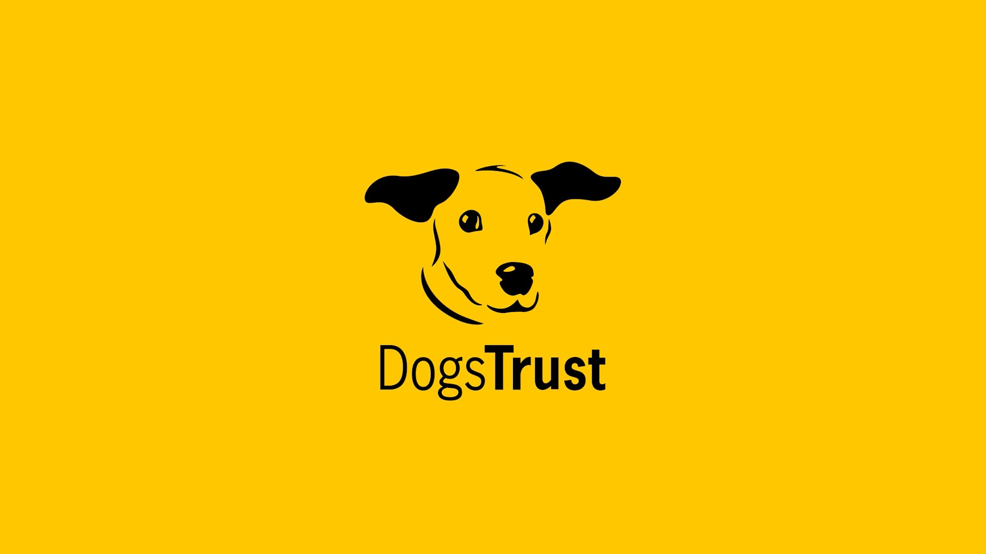 DT USA -30 (Dog School)