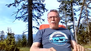 Office Hours - Cat with FIV and Feeding for Bladder Stones