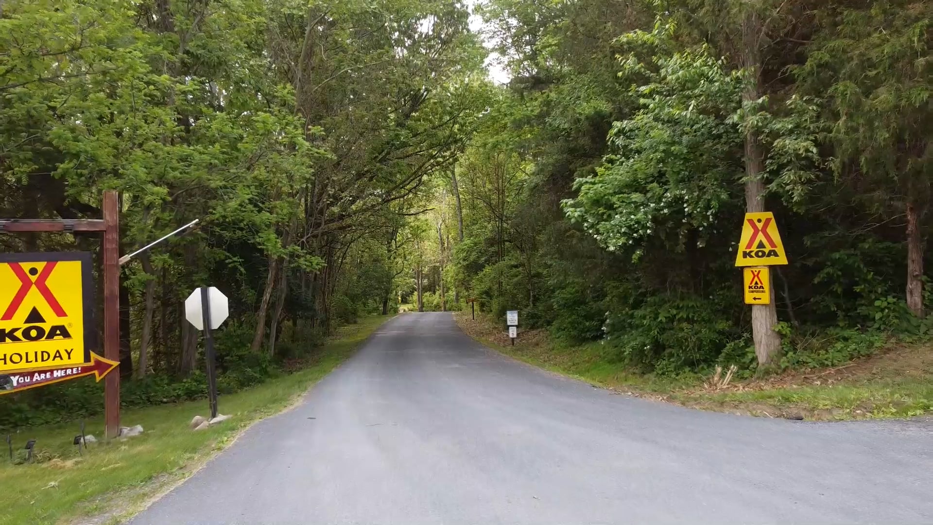 Harrisonburg / Shenandoah Valley KOA Holiday - Main photo