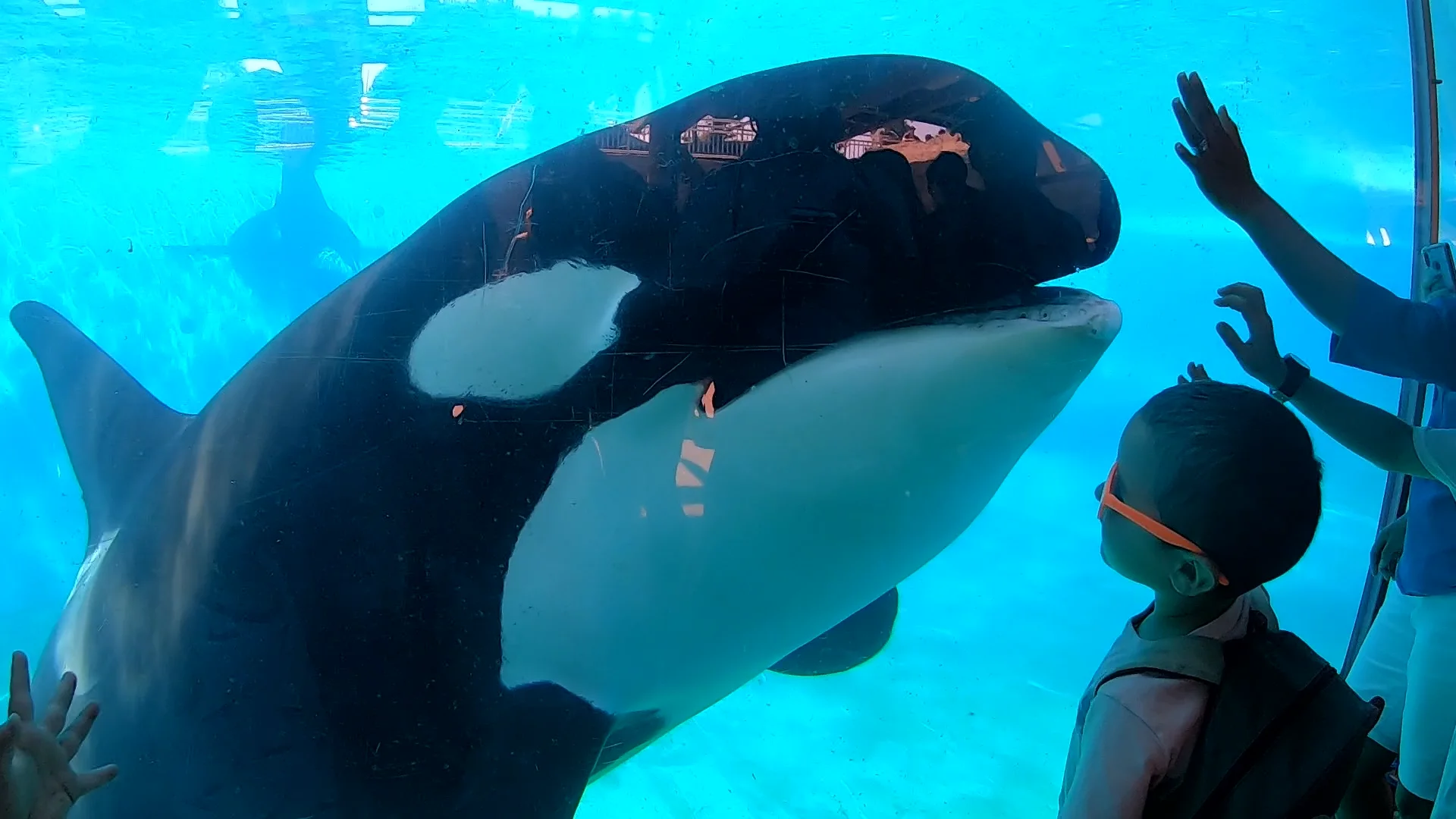 Corky Documentary Trailer on Vimeo