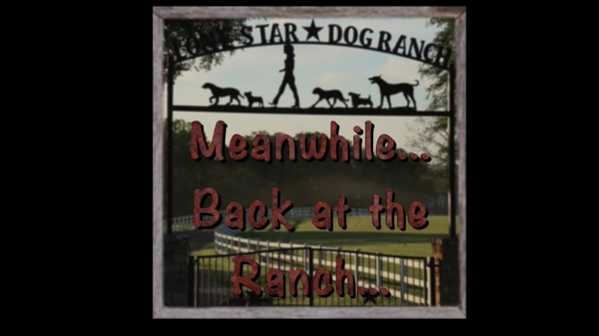 Meanwhile... Back at the Ranch... Episode 120 on Vimeo