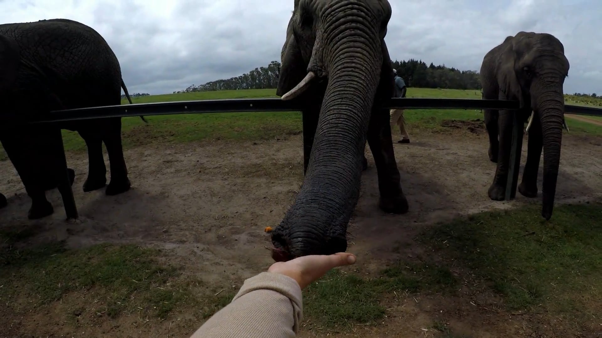 Country of Contrasts | Sør-Afrika 2019