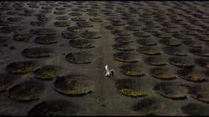 NieLadaFilm