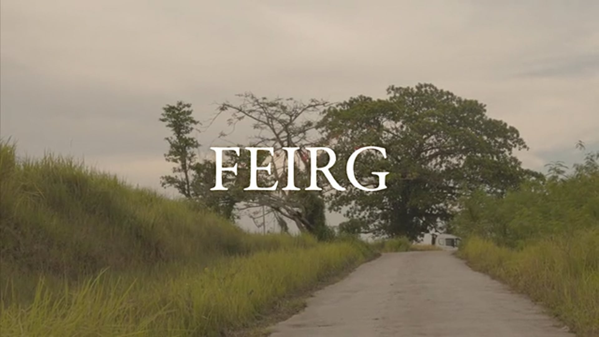 FEIRG