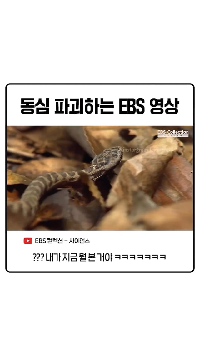 동심을 파괴하는 EBS 다큐