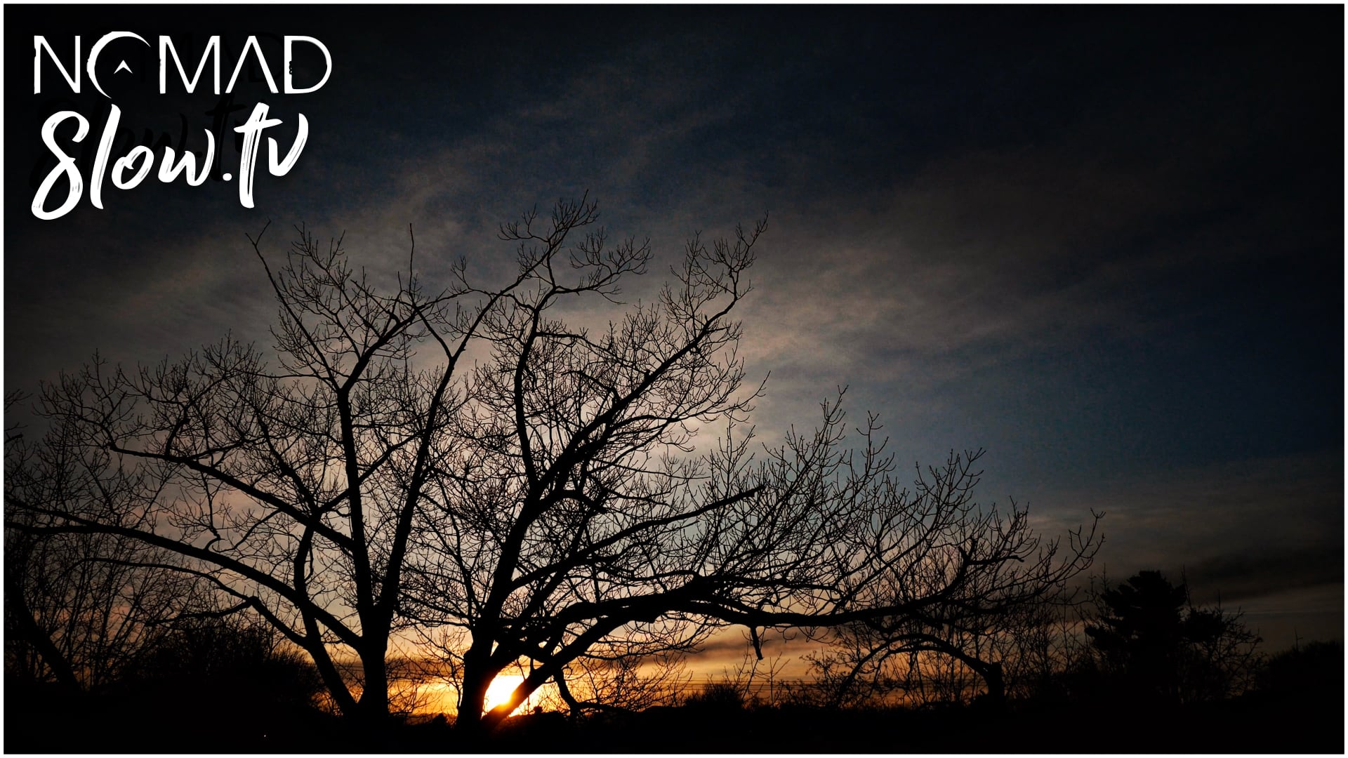 Slow Light Strings of Winter - Stanstead 2023